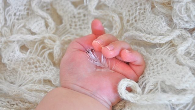 赤ちゃんの手に羽